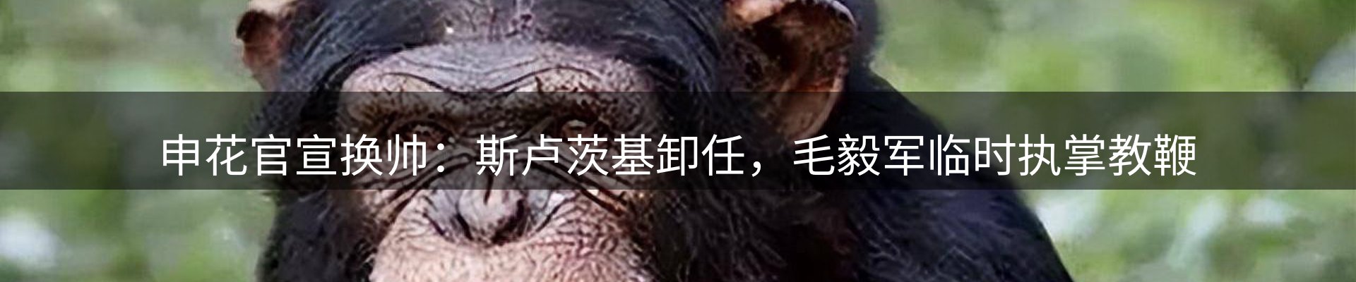 综合资讯